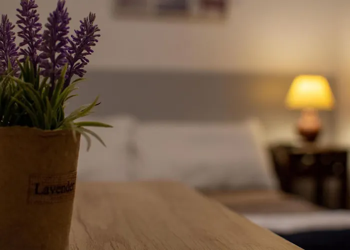 Marina's Séjour chez l'habitant