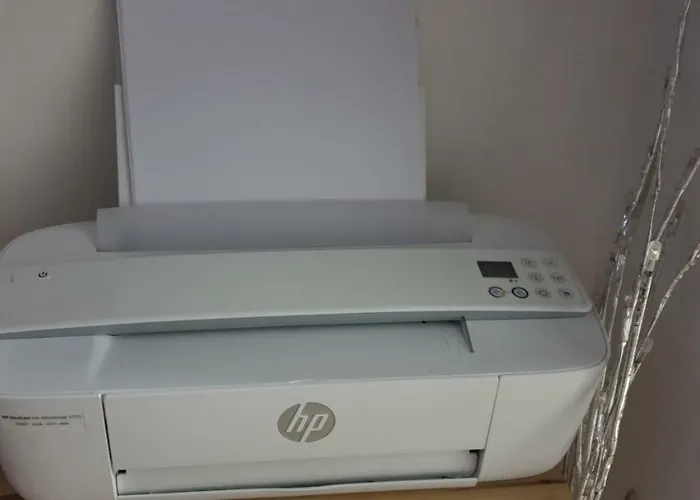 Marina's ホームステイ *